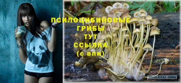 круглые Арсеньев