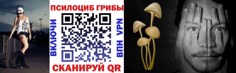 Галлюциногенные грибы ЛСД KRAKEN ссылка Чудово